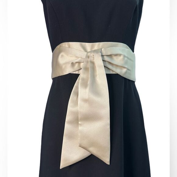 Ann Taylor Evening Dress (4) - Picture 3 of 6